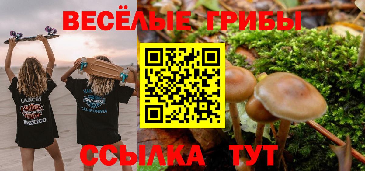 Псилоцибиновые грибы MAGIC MUSHROOMS Канаш