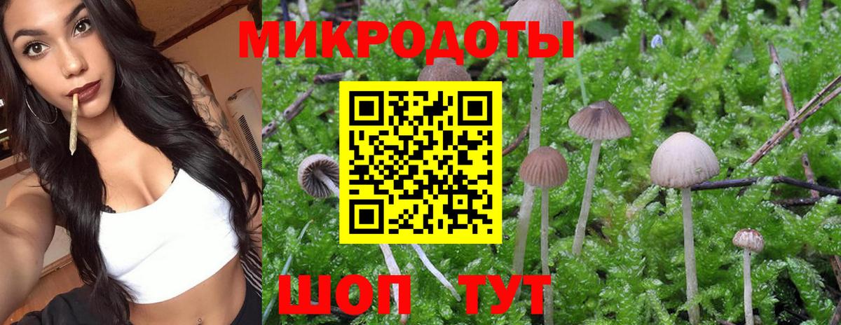 Псилоцибиновые грибы Psilocybe  Псилоцибиновые грибы прущие грибы  Вход с VPN  Канаш 