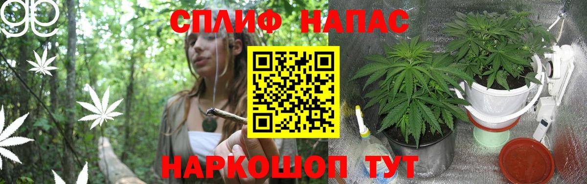 Бошки Шишки гибрид  Бошки Шишки MAZAR  Канаш  Вход с VPN  Бошки Шишки THC 21%  Шишки марихуана гибрид 