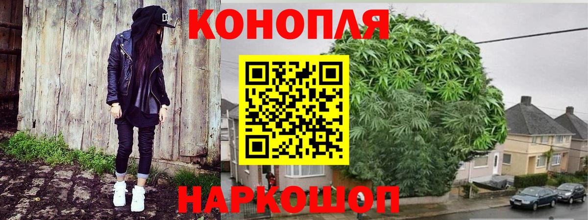 МАРИХУАНА марихуана Канаш